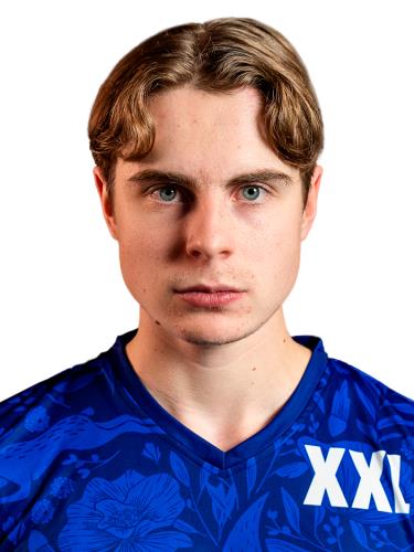 VESTERINEN
